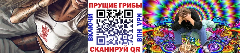 Галлюциногенные грибы Psilocybe Кореновск